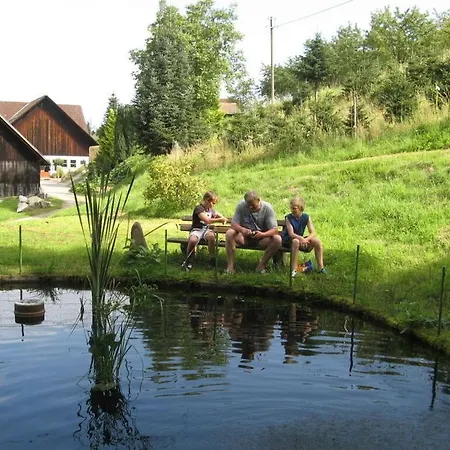 On The Lochlehof Lägenhet Zell am Harmersbach