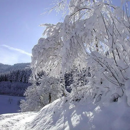 On The Lochlehof Zell am Harmersbach