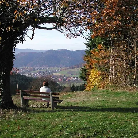 Lägenhet On The Lochlehof Zell am Harmersbach